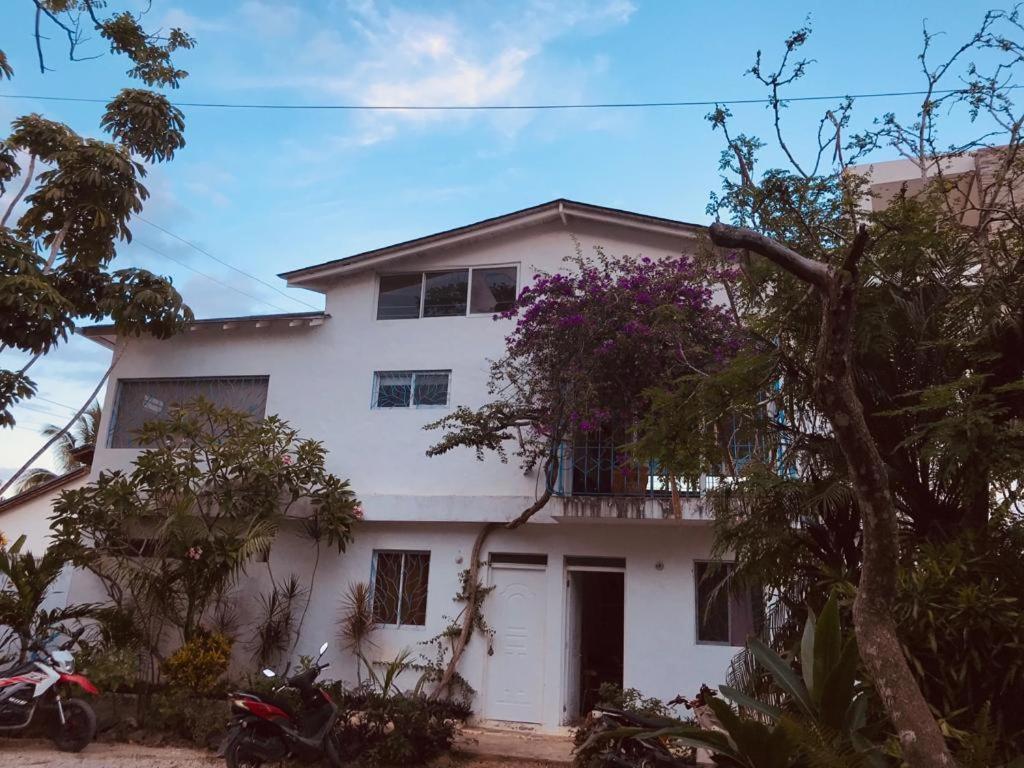 New Moringa Apartment Las Terrenas Ngoại thất bức ảnh