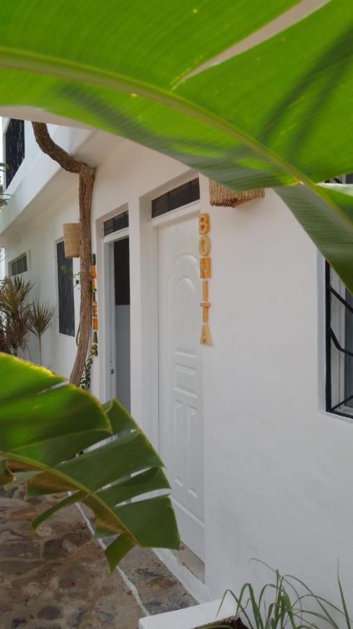 New Moringa Apartment Las Terrenas Ngoại thất bức ảnh