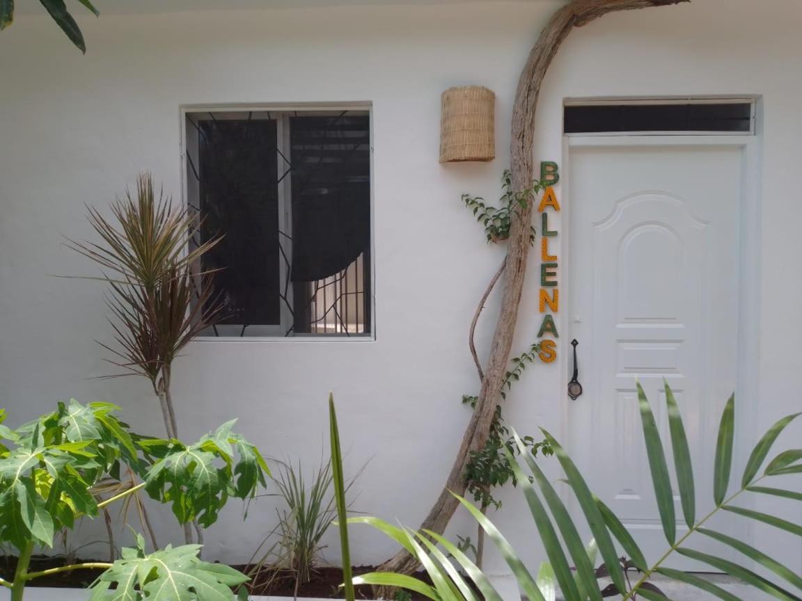 New Moringa Apartment Las Terrenas Ngoại thất bức ảnh