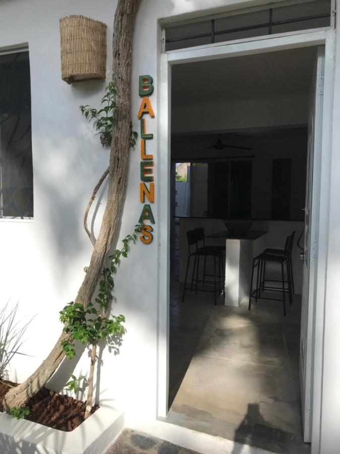 New Moringa Apartment Las Terrenas Ngoại thất bức ảnh