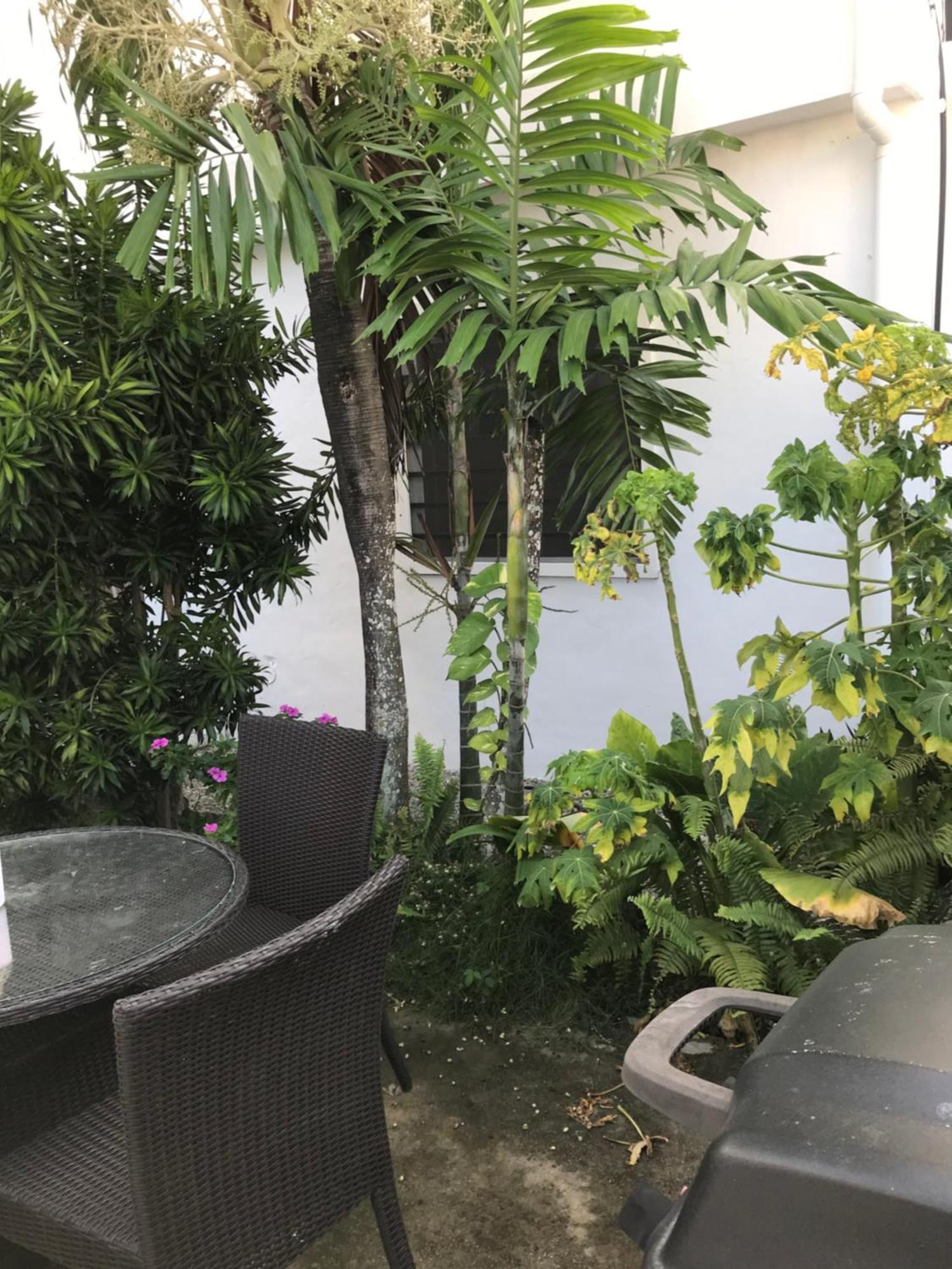 New Moringa Apartment Las Terrenas Ngoại thất bức ảnh