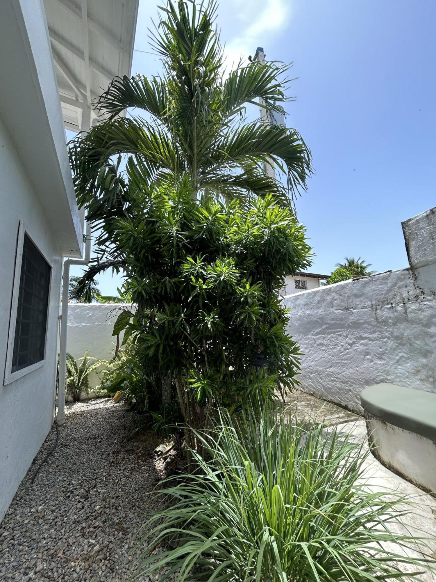 New Moringa Apartment Las Terrenas Ngoại thất bức ảnh
